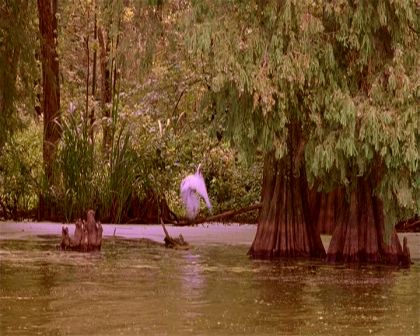 PDVD_1380.jpg