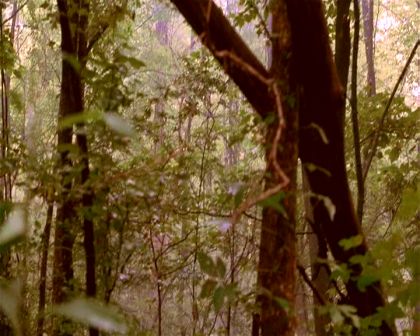 PDVD_1387.jpg