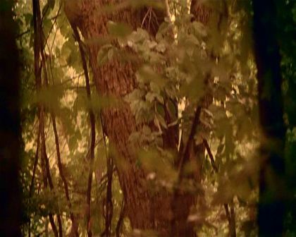 PDVD_1400.jpg