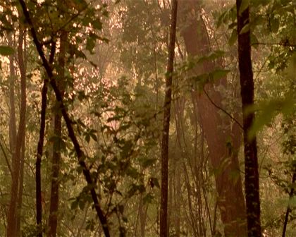 PDVD_1406.jpg