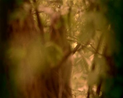 PDVD_1408.jpg