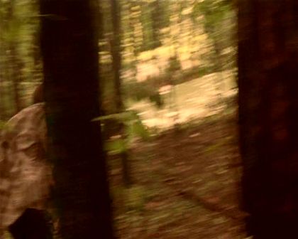 PDVD_1434.jpg
