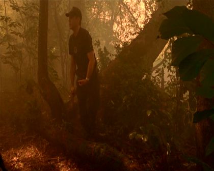 PDVD_1497.jpg