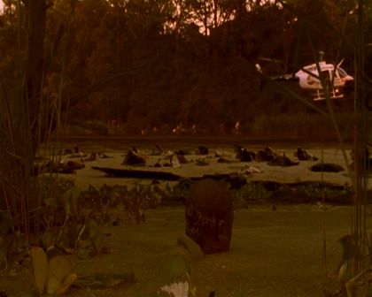 PDVD_1591.jpg