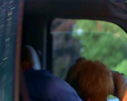 PDVD_2932.jpg