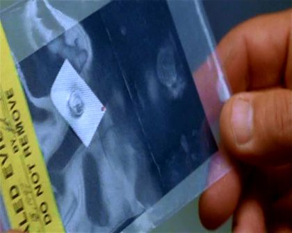 PDVD_3532.jpg