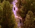 PDVD_1384