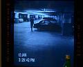 PDVD_2011