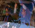PDVD_2623