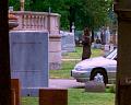 PDVD_2690