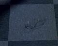 PDVD_279