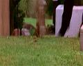 PDVD_2832