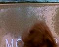 PDVD_2837