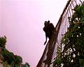 PDVD_3012