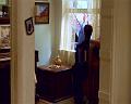 PDVD_3235