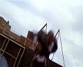 PDVD_3288
