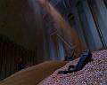 PDVD_3719