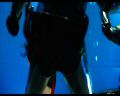 PDVD_146.jpg