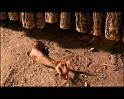 PDVD_1168
