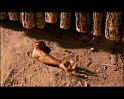 PDVD_1169