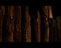 PDVD_1194