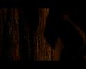 PDVD_1195