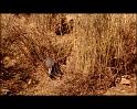 PDVD_438