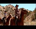 PDVD_456