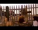 PDVD_463