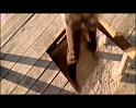 PDVD_492