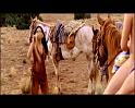PDVD_656