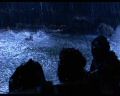 PDVD_2032.jpg