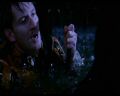 PDVD_2043.jpg