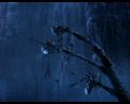 PDVD_2169.jpg
