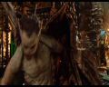 PDVD_2636.jpg