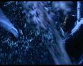 PDVD_2655.jpg