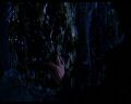 PDVD_1208.jpg