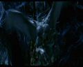 PDVD_1227.jpg