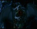 PDVD_1228.jpg