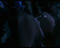 PDVD_1229.jpg