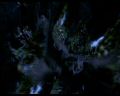 PDVD_1235.jpg