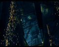 PDVD_1303.jpg
