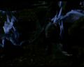 PDVD_1315.jpg