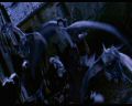PDVD_1317.jpg