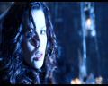 PDVD_1346.jpg