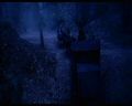 PDVD_1666.jpg