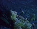 PDVD_1063