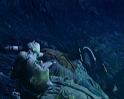 PDVD_1075