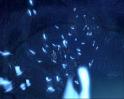 PDVD_1097