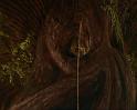 PDVD_1211